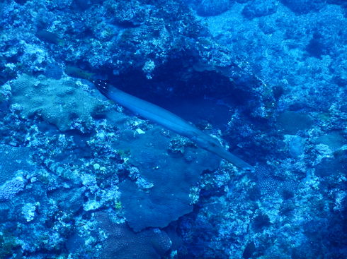 img_20160907-151004.jpg