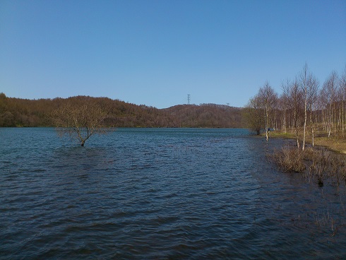 img_20130509-004401.jpg