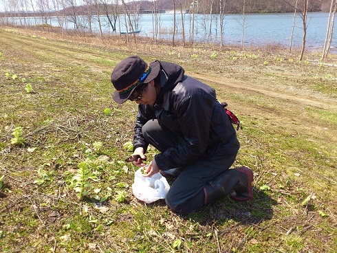 img_20130509-004534.jpg