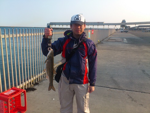 img_20130509-005052.jpg