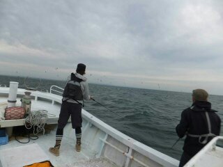 img_20130924-090855.jpg