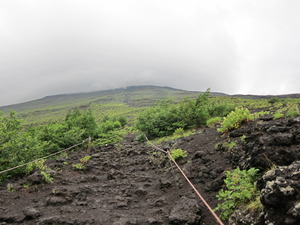 img_20130803-150314.jpg