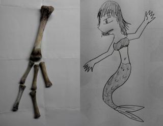 人魚は実在した！画像