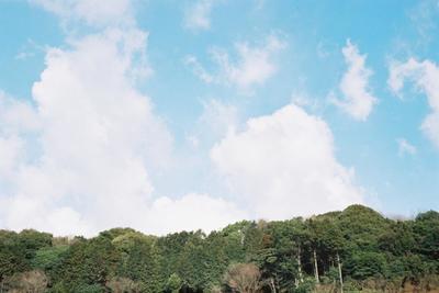 裏山
