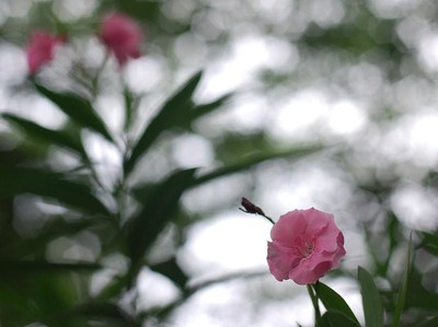 2009.07.18   